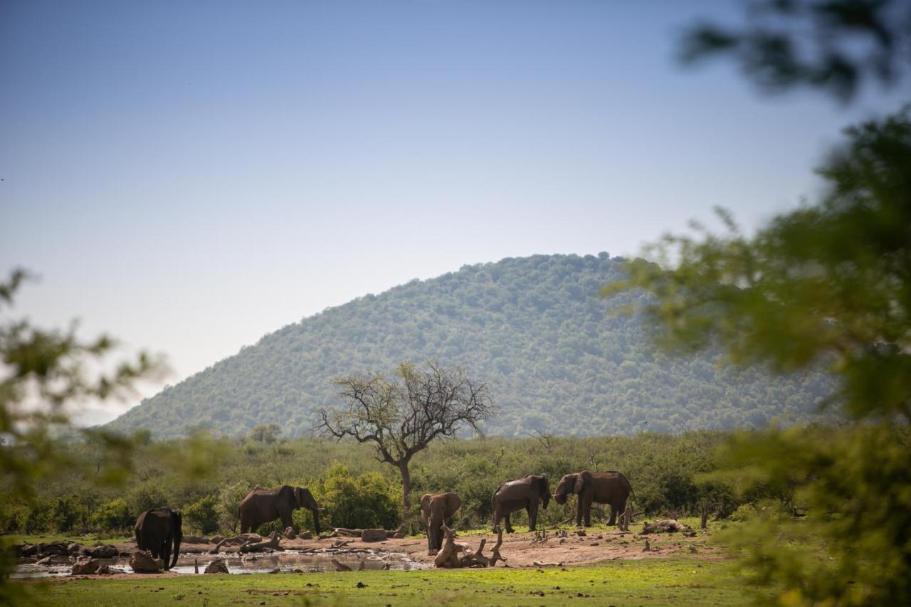 Jamala Madikwe Villa Madikwe Game Reserve Exterior foto